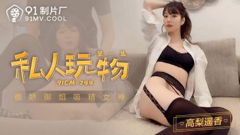CN-0988 91CM-244 Private Toy 1- Haruka Takanashi